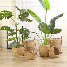 Lade das Bild in den Galerie-Viewer, Seagrass Flower Pot Basket Wickerwork Storage Basket Hanging Planter Garden Flower Vase Handmade Plant Basket Wicker Basketwall Itdinos
