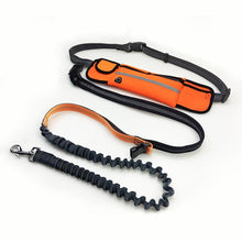 Load image into Gallery viewer, Handsfree Bungee Dog Leash Itdinos
