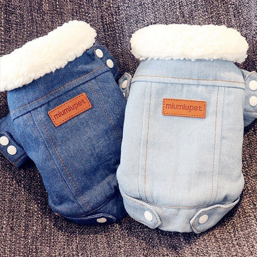 Luxury Winter Dog Jacket Itdinos