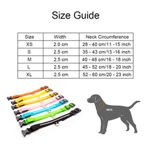 Load image into Gallery viewer, USB Charging Led Dog Collar Itdinos
