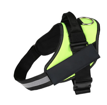 Load image into Gallery viewer, Dog Name Collar Vest Itdinos
