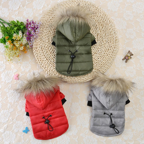 Warm Winter Small Dog Jackets Itdinos