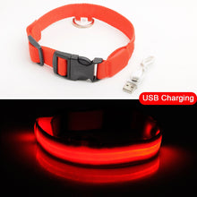 Load image into Gallery viewer, USB Charging Led Dog Collar Anti-Lost/Avoid Car Accident Collar Itdinos

