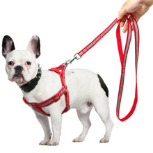 Load image into Gallery viewer, Dog Leash Set Itdinos
