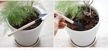 Lade das Bild in den Galerie-Viewer, Mini Portable Gardening Tool Metal Head Shovel Rake Spade Plant Garden Soil Raising Flowers Wooden Handle Tool Set Itdinos
