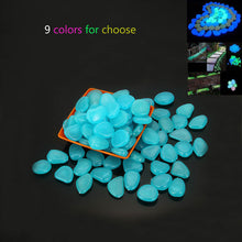 Lade das Bild in den Galerie-Viewer, Glow In The Dark Luminous Garden Pebbles [10 pcs] Itdinos
