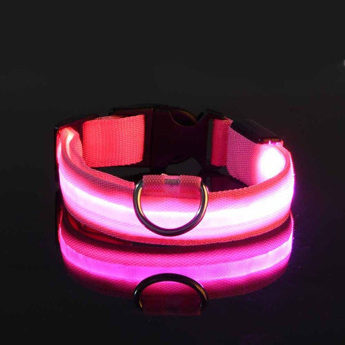 Rechargable Dog LED Flashing Collar Itdinos