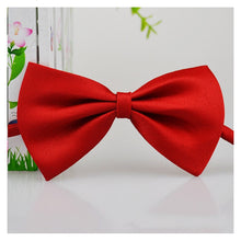 Load image into Gallery viewer, Pet Bow Tie Necklace Itdinos
