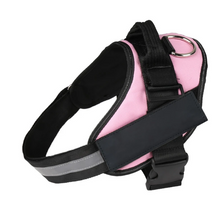 Load image into Gallery viewer, Dog Name Collar Vest Itdinos
