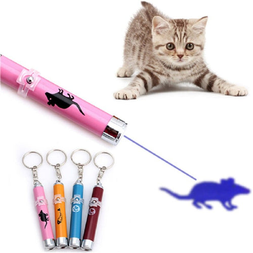 Portable Funny Cat Laser LED Pointer Itdinos