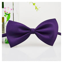 Load image into Gallery viewer, Pet Bow Tie Necklace Itdinos
