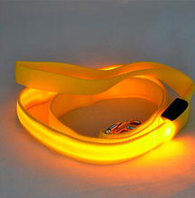 Load image into Gallery viewer, Glow In Dark Dog Leash Itdinos
