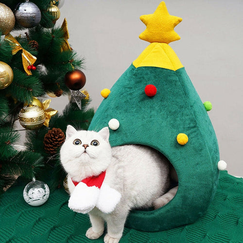 Christmas Cat House Itdinos