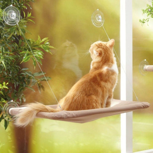 Window Mount Cat Hammock Itdinos