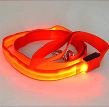 Load image into Gallery viewer, Glow In Dark Dog Leash Itdinos
