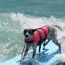 Load image into Gallery viewer, Dog Life Vest Itdinos
