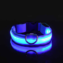 Load image into Gallery viewer, Rechargable Dog LED Flashing Collar Itdinos
