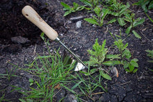 Lade das Bild in den Galerie-Viewer, Garden Hand Weeder Itdinos
