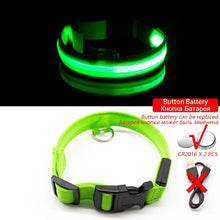 Load image into Gallery viewer, USB Charging Led Dog Collar Itdinos
