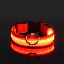 Load image into Gallery viewer, Rechargable Dog LED Flashing Collar Itdinos
