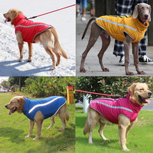 Load image into Gallery viewer, Waterproof Dog Clothes for Large Dogs Itdinos
