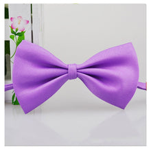 Load image into Gallery viewer, Pet Bow Tie Necklace Itdinos
