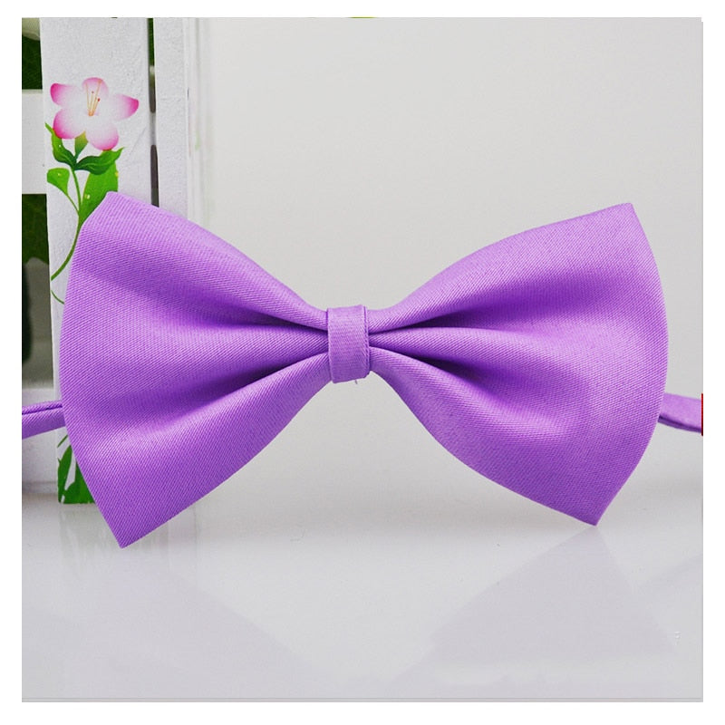 Pet Bow Tie Necklace Itdinos