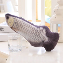 Lade das Bild in den Galerie-Viewer, 1PC 3D Fish Creative Pet Cat Kitten Chewing Cat Toys Doll Catnip Stuffed Fish Interactive Kitten Playing Toy Stuffed Pillow Itdinos
