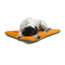 Load image into Gallery viewer, Pet Dog Bed Mat Kennel Large Cozy Soft Dog Bed Pet Cushion Sofa Winter Pet Products For Small Large Dogs Pitbull French Bulldog Itdinos
