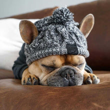 Load image into Gallery viewer, Warm Winter Pet Hat Itdinos
