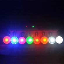 Load image into Gallery viewer, Dog Cat Collar Glowing Pendant Itdinos
