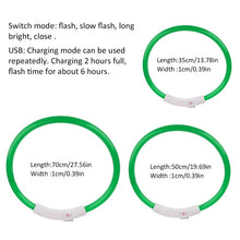Load image into Gallery viewer, LED Dog Collar USB Charging Flashing Night Cat Collars Luminous Anti-Lost Avoid Car Accident Safety Pets Harnesses Leads Itdinos
