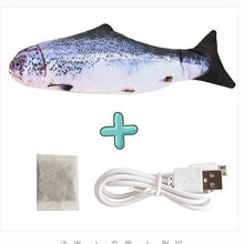 Load image into Gallery viewer, Interactive Electric floppy Fish Cat toy Itdinos
