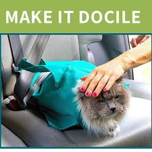 Load image into Gallery viewer, Cat Travel Pouch Itdinos
