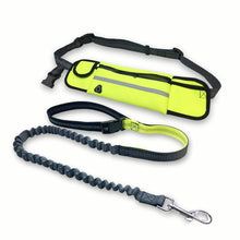 Load image into Gallery viewer, Handsfree Bungee Dog Leash Itdinos
