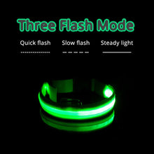 Load image into Gallery viewer, USB Charging Led Dog Collar Itdinos
