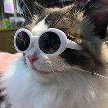 Load image into Gallery viewer, Dog Cat Sunglasses Fashion Cool Pet Products Itdinos
