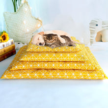Load image into Gallery viewer, Soft Dog Bed Itdinos
