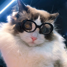 Load image into Gallery viewer, Dog Cat Sunglasses Fashion Cool Pet Products Itdinos
