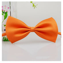 Load image into Gallery viewer, Pet Bow Tie Necklace Itdinos

