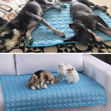 Load image into Gallery viewer, Pet Pad Summer Cooling Mat Dog Beds Mats Blue Pet Ice Pad Cool  Cold Silk Moisture-Proof  Cooler Mattress Cushion Puppy Itdinos
