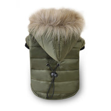 Load image into Gallery viewer, Warm Winter Small Dog Jackets Itdinos
