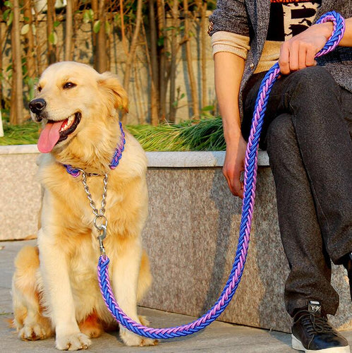 Double Strand Rope Large Dog Leashes Metal P Chain Buckle National Color Pet Traction Rope Collar Set For Big Dogs 1.2m Length Itdinos
