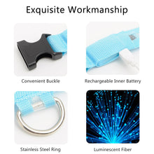 Load image into Gallery viewer, USB Charging Led Dog Collar Anti-Lost/Avoid Car Accident Collar Itdinos
