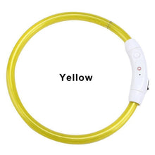 Load image into Gallery viewer, LED Dog Collar USB Charging Flashing Night Cat Collars Luminous Anti-Lost Avoid Car Accident Safety Pets Harnesses Leads Itdinos
