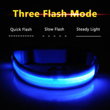 Load image into Gallery viewer, USB Charging Led Dog Collar Anti-Lost/Avoid Car Accident Collar Itdinos
