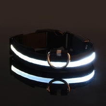 Load image into Gallery viewer, Rechargable Dog LED Flashing Collar Itdinos
