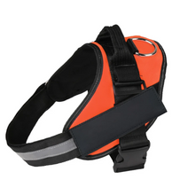 Load image into Gallery viewer, Dog Name Collar Vest Itdinos
