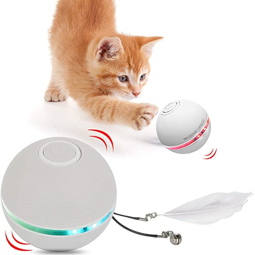 Funny  Colorful Electric  LED Cat Toy Itdinos