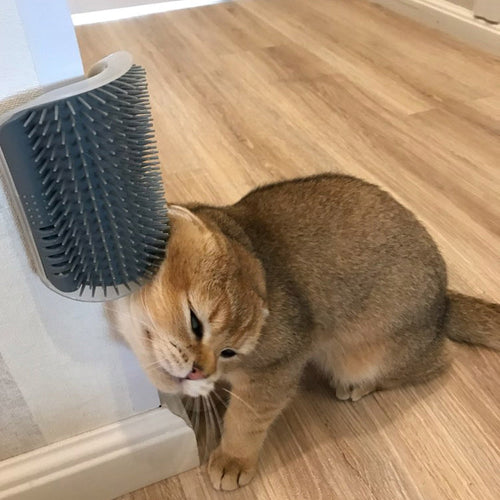 Cat Self Groomer Corner Brush Itdinos